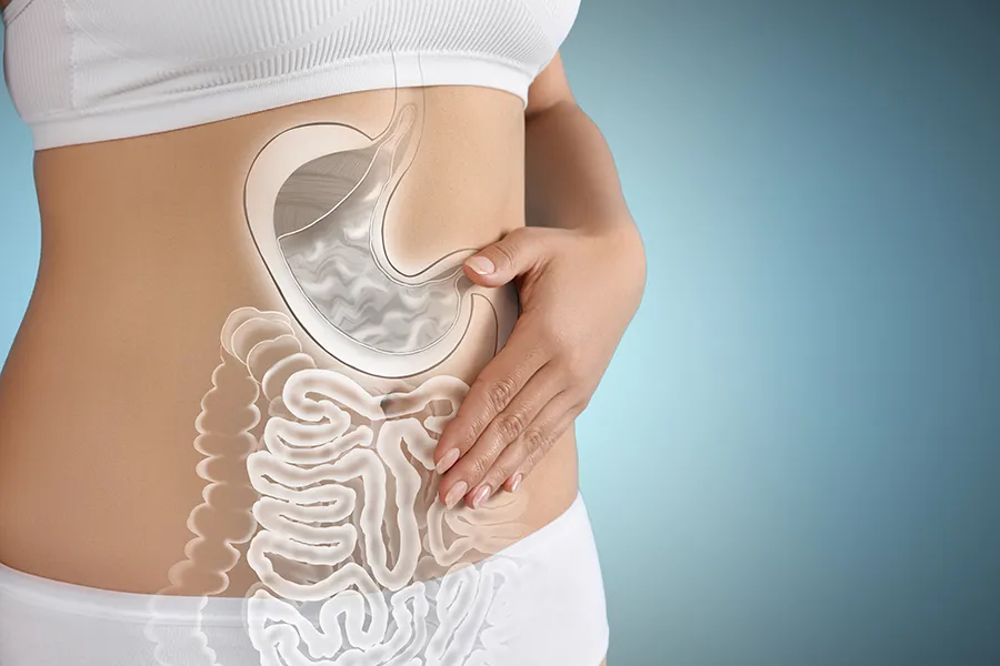 Gut-Health-Doctor Close up of the midriff of a woman with white underwear and an illustration of the digestive system superimposed over the image. Get help for digestive issues and gut health from Discovery Health Healing Center in Green Bay.